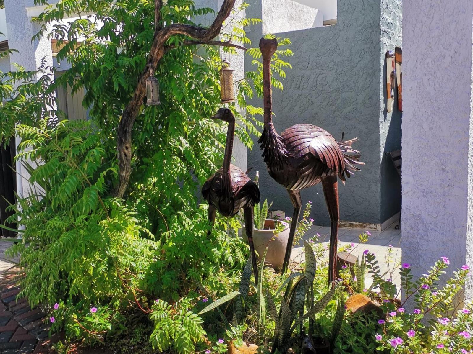 Guesthouse Terra Africa Виндхук Экстерьер фото