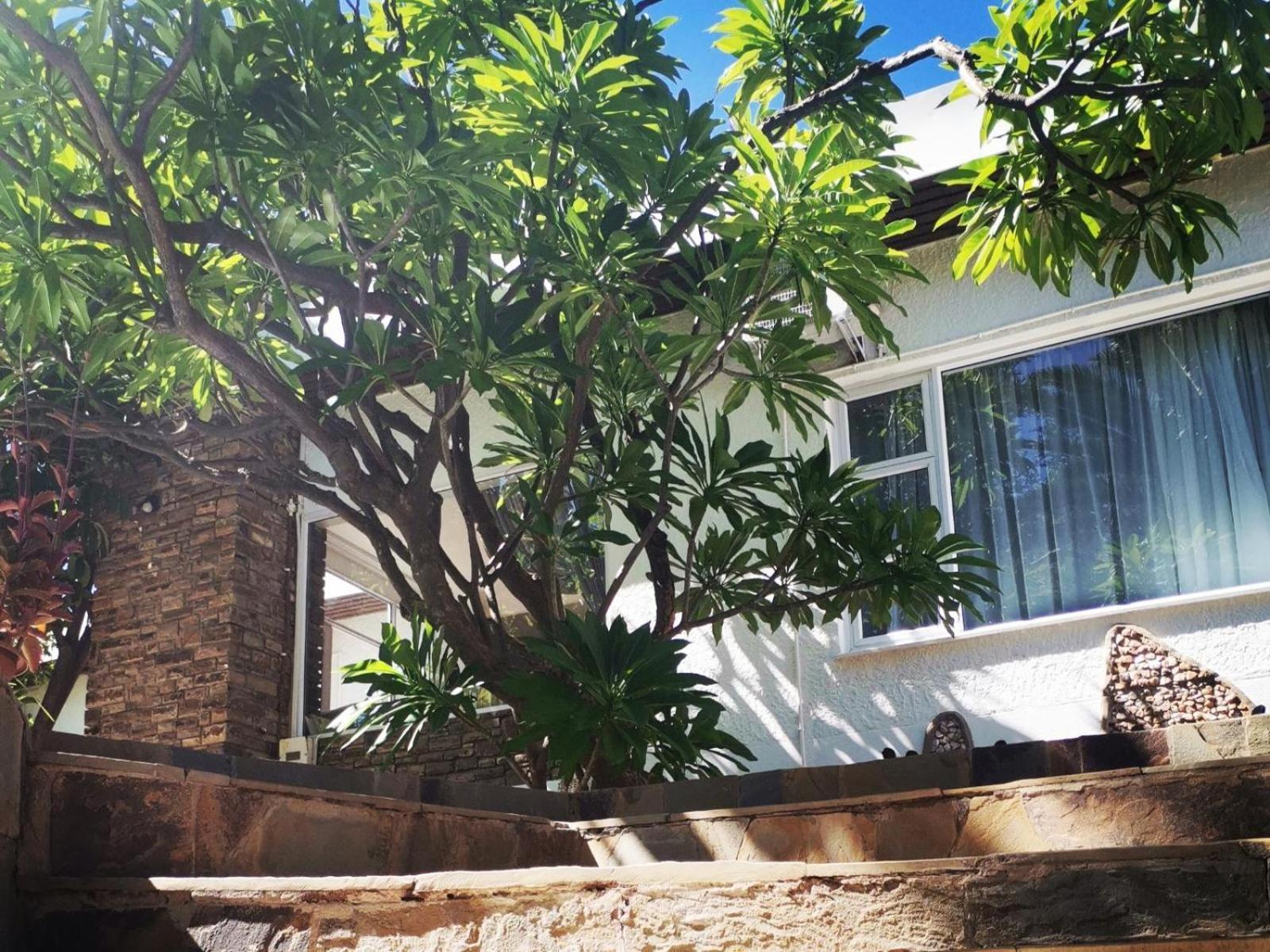 Guesthouse Terra Africa Виндхук Экстерьер фото